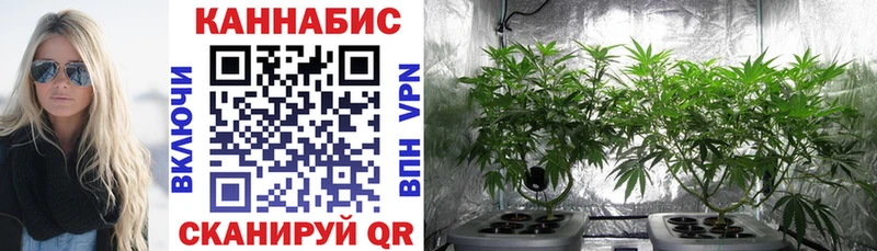 МАРИХУАНА THC 21% Печоры